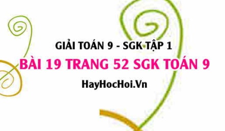 Giải bài 19 trang 52 SGK Toán 9 tập 1